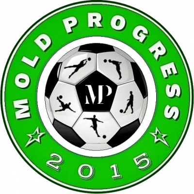 FC Mold Progress 